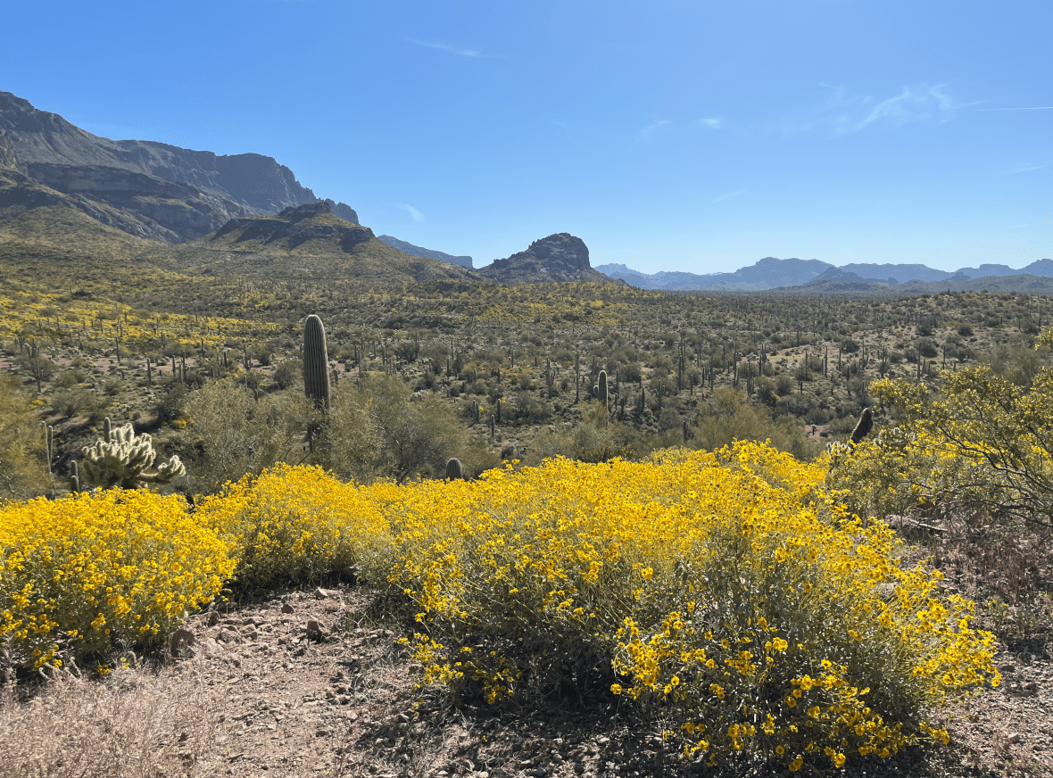 zenlife hiking club hieroglyphic trail to petroglyphs