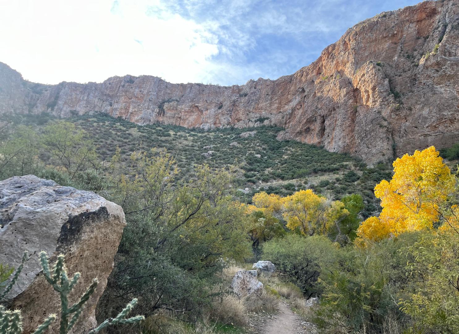 Arnett Canyon trail in the desert near Superior, Arizona